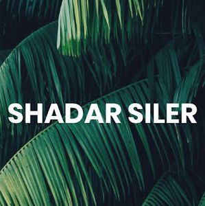 Meet your Posher, Shadar